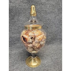 Glass Jar‎ Filled With Exotic Sea Shells